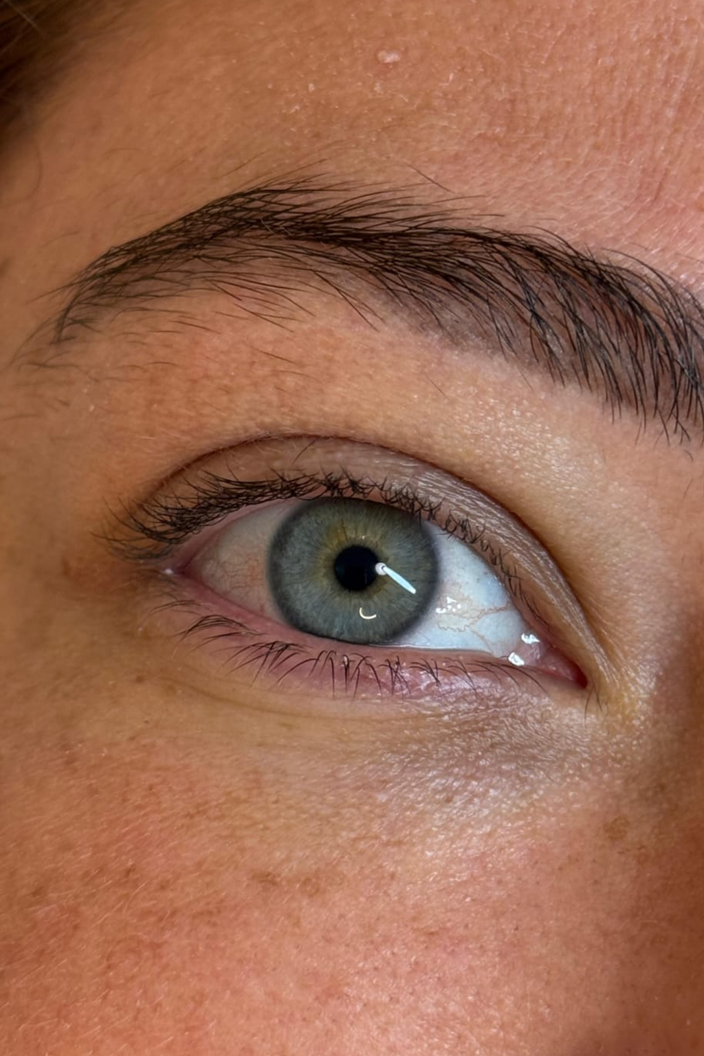 תמונה של WhatsApp‏ 2025-02-02 בשעה 11.51