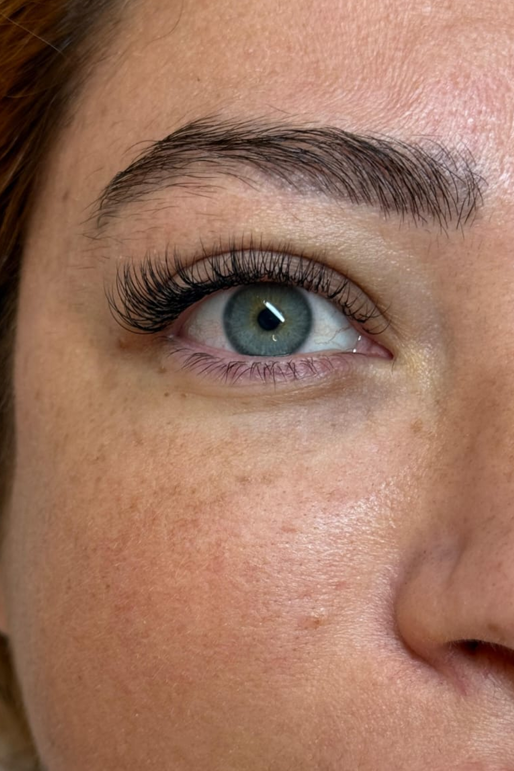 תמונה של WhatsApp‏ 2025-02-02 בשעה 11.51